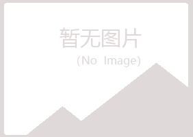 海南盼夏音乐有限公司